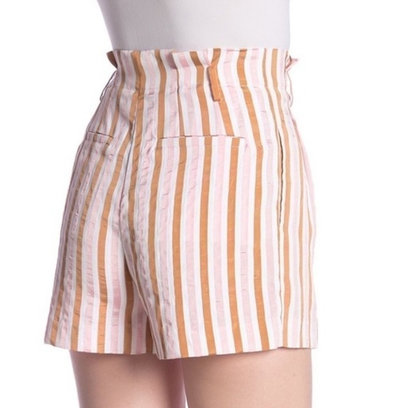 FRAME Pleated Pink Striped High Waisted Shorts Copper Multi Sz 2 - Picture 3 of 10